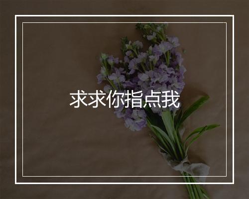 求求你指点我