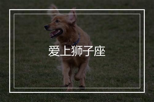 爱上狮子座