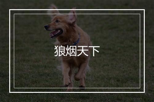 狼烟天下