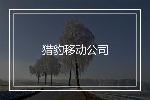 猎豹移动公司