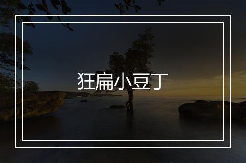 狂扁小豆丁