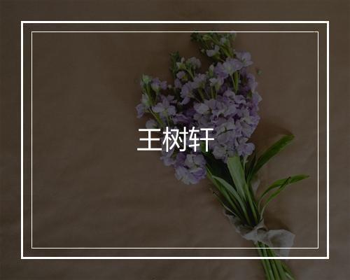 王树轩