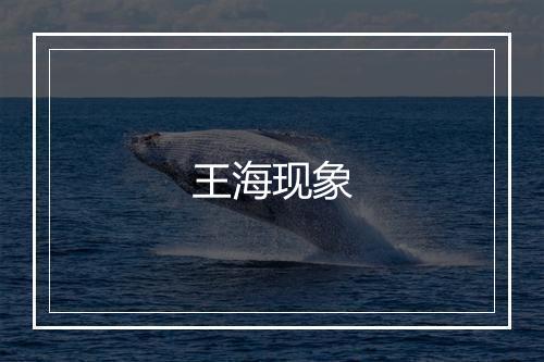 王海现象