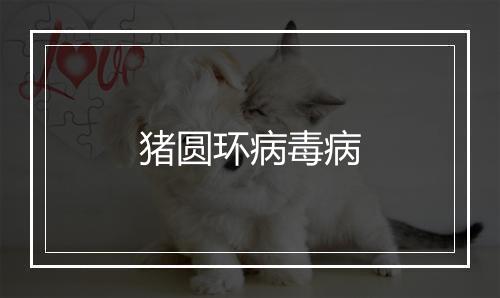 猪圆环病毒病