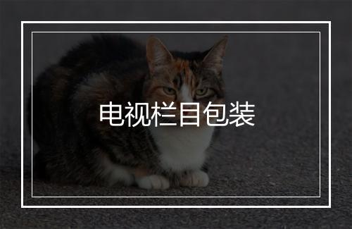 电视栏目包装