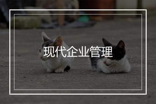 现代企业管理