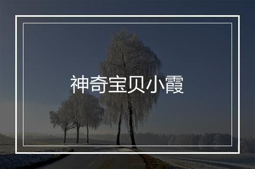 神奇宝贝小霞