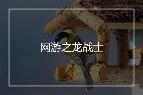 网游之龙战士