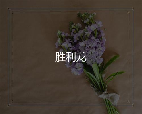 胜利龙