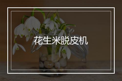 花生米脱皮机