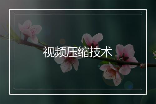 视频压缩技术