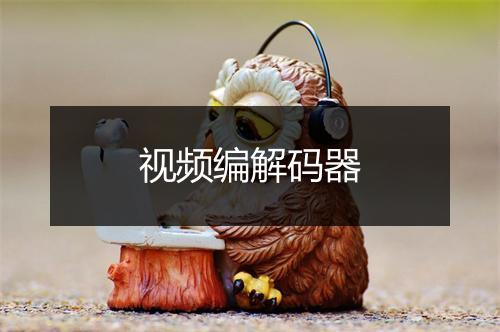 视频编解码器