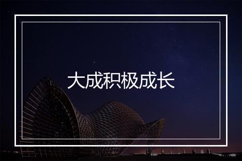 大成积极成长