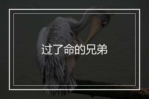 过了命的兄弟