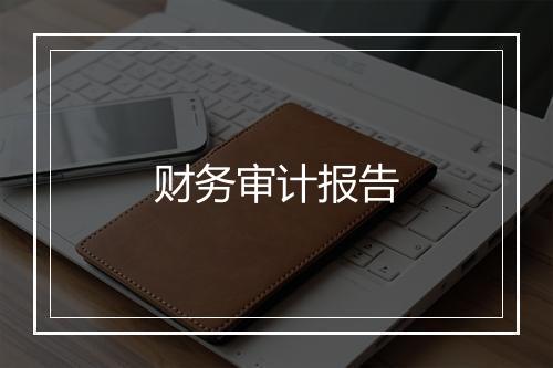 财务审计报告