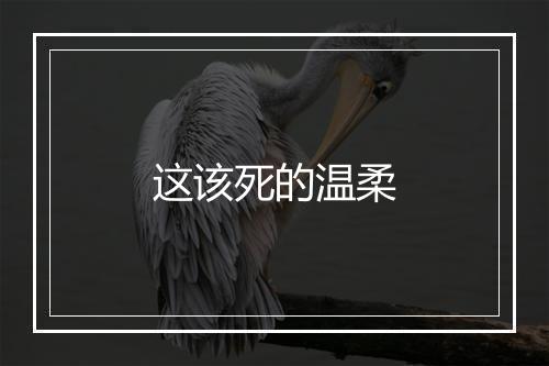 这该死的温柔