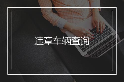 违章车辆查询