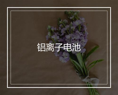 铝离子电池