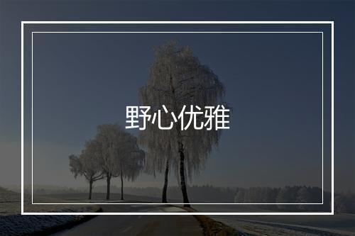 野心优雅