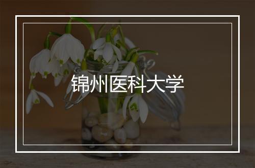 锦州医科大学