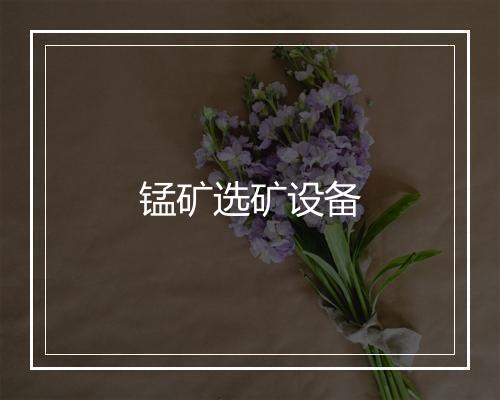 锰矿选矿设备