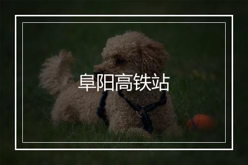 阜阳高铁站