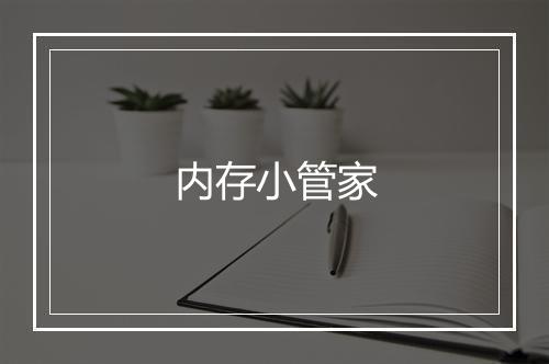 内存小管家