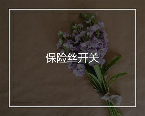 保险丝开关