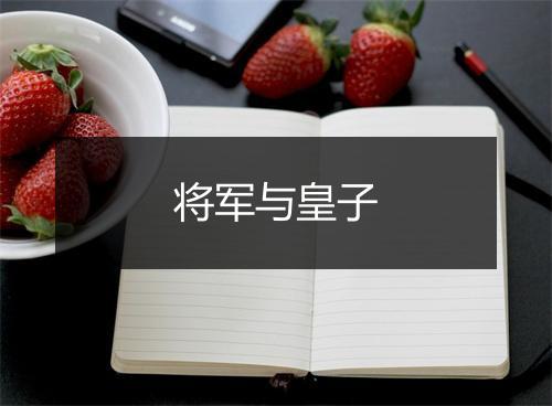 将军与皇子