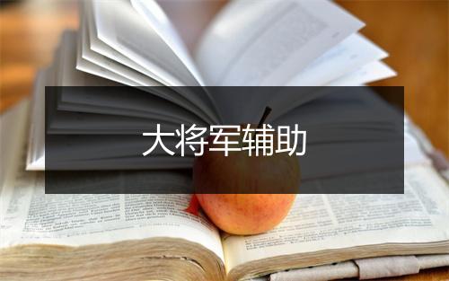 大将军辅助