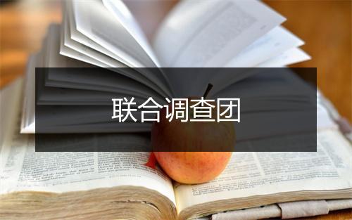 联合调查团