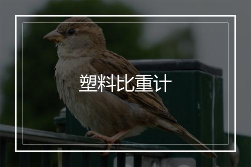 塑料比重计