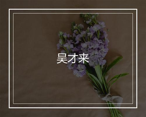 吴才来