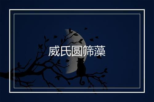 威氏圆筛藻