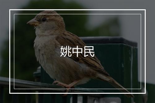 姚中民