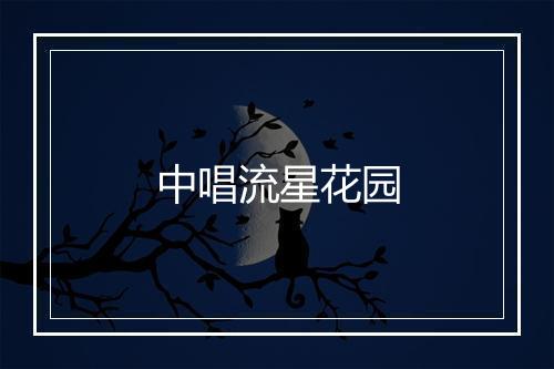 中唱流星花园