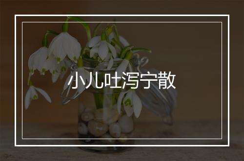 小儿吐泻宁散