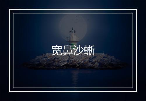 宽鼻沙蜥