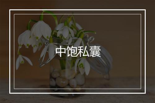 中饱私囊