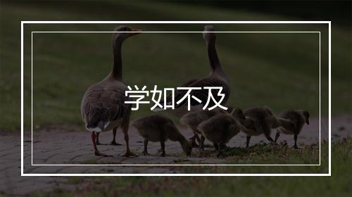 学如不及