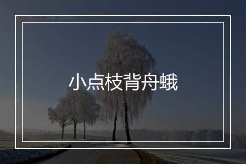 小点枝背舟蛾