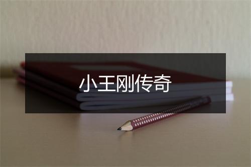 小王刚传奇