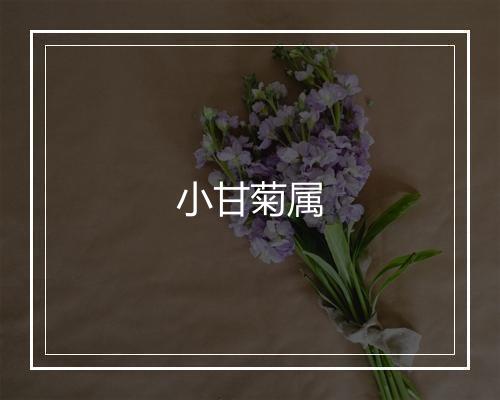 小甘菊属