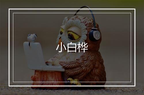 小白桦