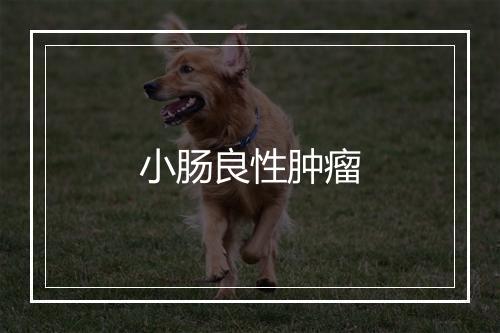 小肠良性肿瘤