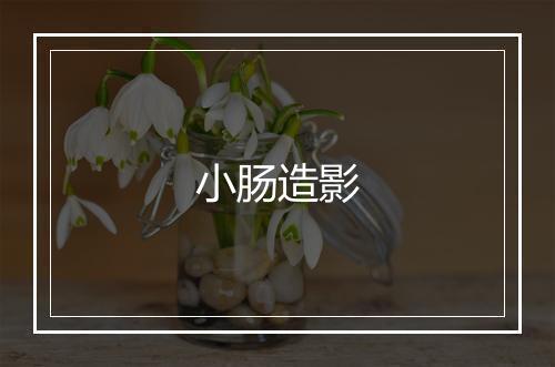 小肠造影