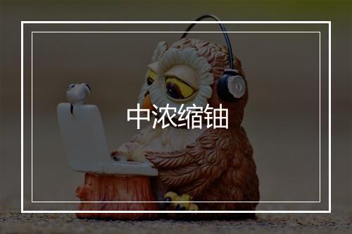 中浓缩铀