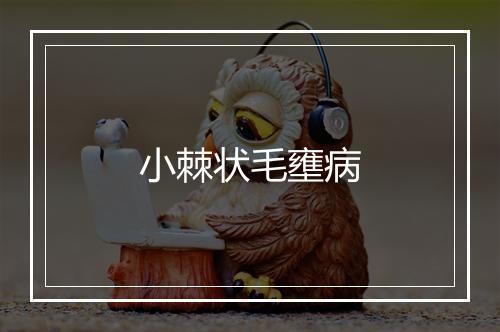 小棘状毛壅病