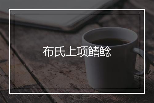 布氏上项鳍鲶