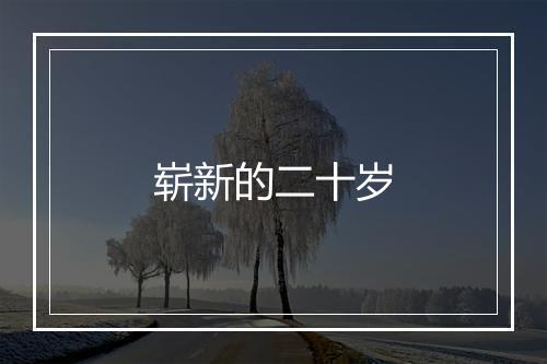 崭新的二十岁